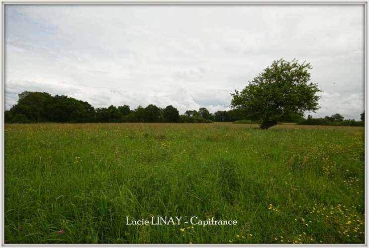 Photos 10 - Rurale - Propriété sur 18ha