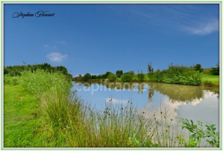 Photos 1 - Forestière - Terrain à vendre de 31 710,00 m² BOULT AUX BOIS (08)