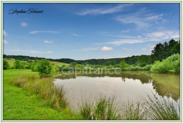 Photos 2 - Forestière - Terrain à vendre de 31 710,00 m² BOULT AUX BOIS (08)