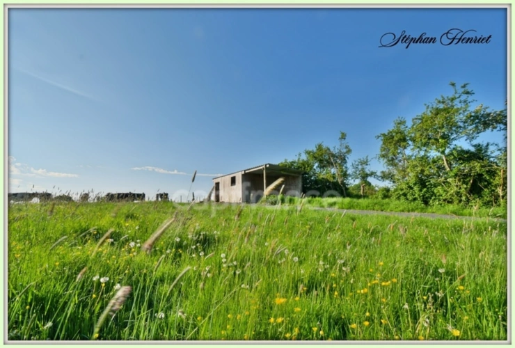Photos 3 - Forestière - Terrain à vendre de 31 710,00 m² BOULT AUX BOIS (08)