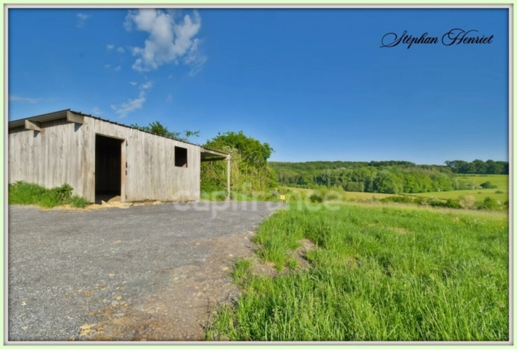 Photos 4 - Forestière - Terrain à vendre de 31 710,00 m² BOULT AUX BOIS (08)