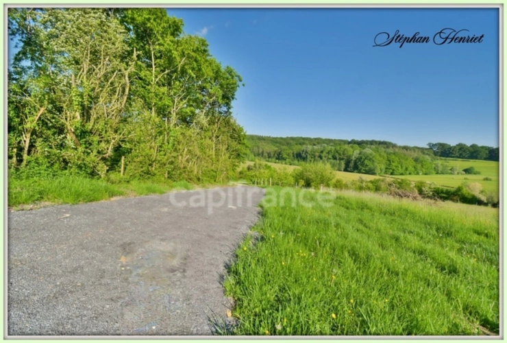 Photos 6 - Forestière - Terrain à vendre de 31 710,00 m² BOULT AUX BOIS (08)
