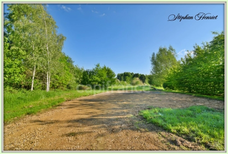 Photos 7 - Forestière - Terrain à vendre de 31 710,00 m² BOULT AUX BOIS (08)
