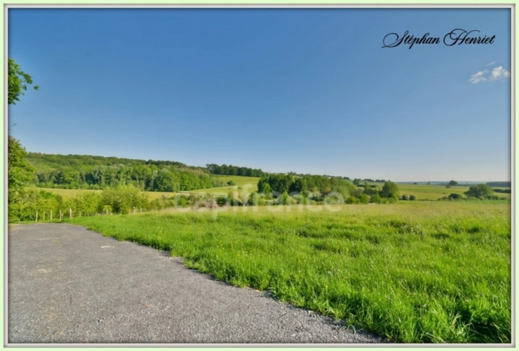 Photos 8 - Forestière - Terrain à vendre de 31 710,00 m² BOULT AUX BOIS (08)