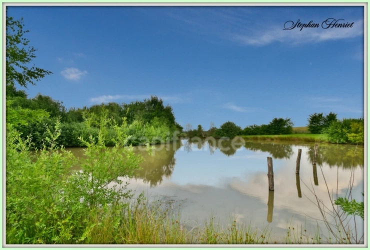 Photos 9 - Forestière - Terrain à vendre de 31 710,00 m² BOULT AUX BOIS (08)