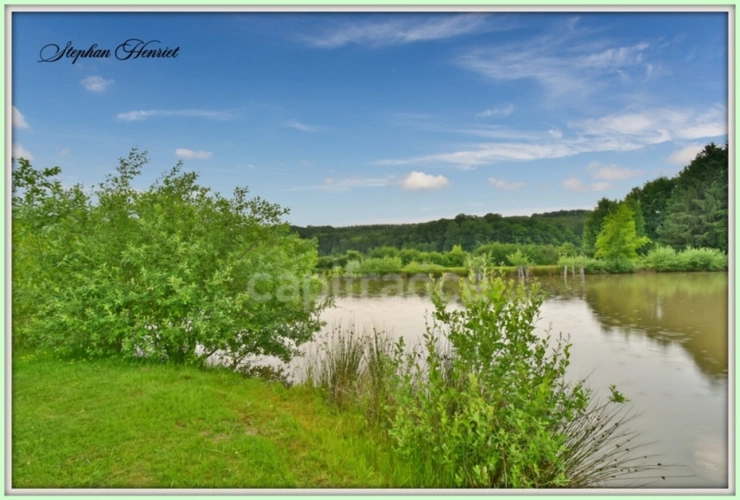 Photos 10 - Forestière - Terrain à vendre de 31 710,00 m² BOULT AUX BOIS (08)