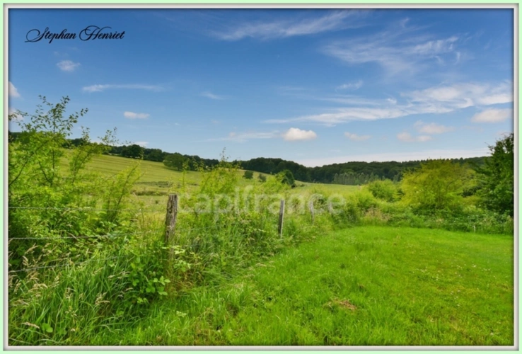 Photos 22 - Forestière - Terrain à vendre de 31 710,00 m² BOULT AUX BOIS (08)