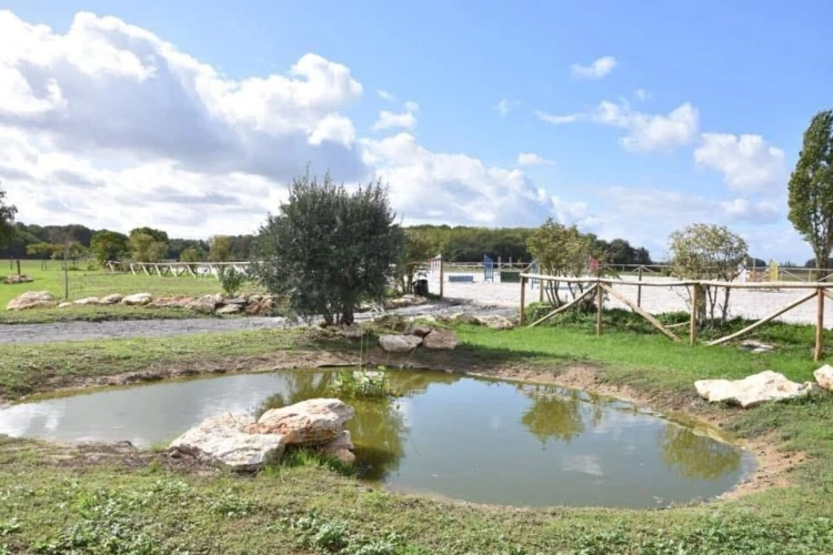 Photos 10 - Équestre - Domaine équestre d'exception à Azay-sur-Cher - Indre-et-Lo