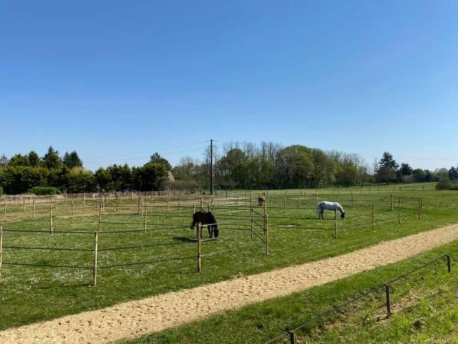 Photos 14 - Équestre - Domaine équestre d'exception à Azay-sur-Cher - Indre-et-Lo
