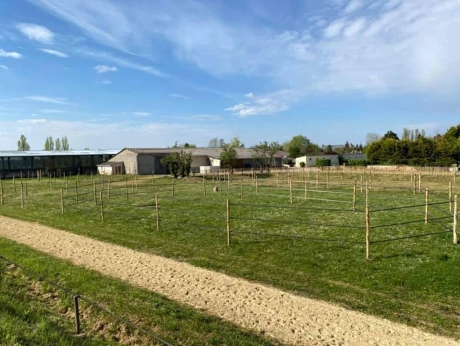 Photos 15 - Équestre - Domaine équestre d'exception à Azay-sur-Cher - Indre-et-Lo