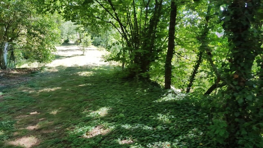 Photos 10 - Touristique - Ensemble de maisons avec 3000 m2 de terrain à Sernin du Plain