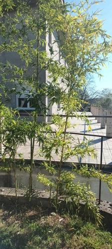 Photos 3 - Équestre - la campagne prés de la ville