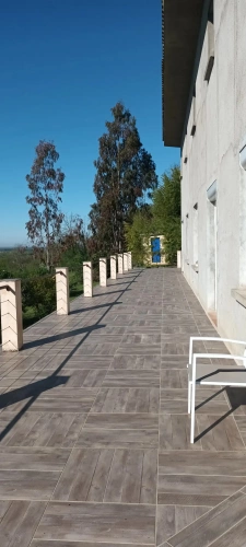 Photos 4 - Équestre - la campagne prés de la ville