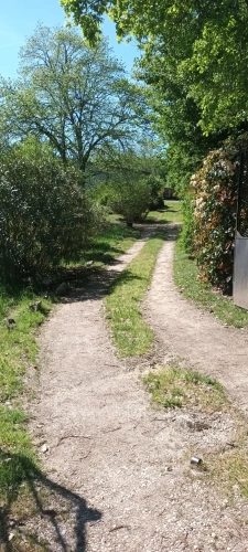 Photos 5 - Équestre - la campagne prés de la ville