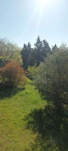 Photos 13 - Équestre - la campagne prés de la ville