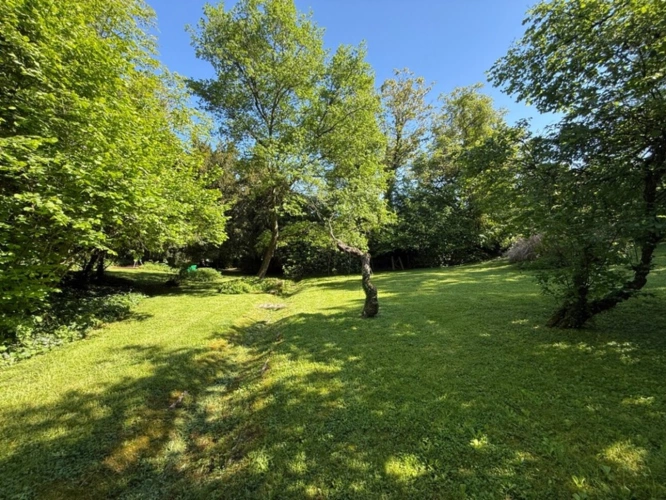Photos 17 - Prestige - Demeure de caractère du XVIIIᵉ siècle – 435 m² – Parc arboré de 5 000 m² – Piscine – Au calme absolu