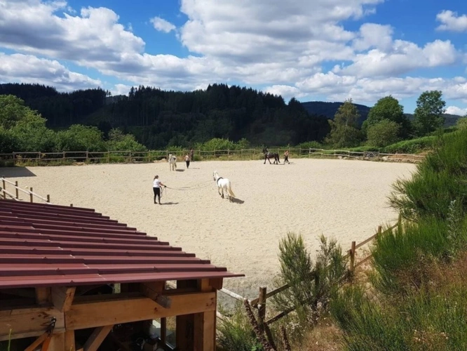 Photos 4 - Équestre - Propriete à vendre 5 pièces ARCONSAT (63)