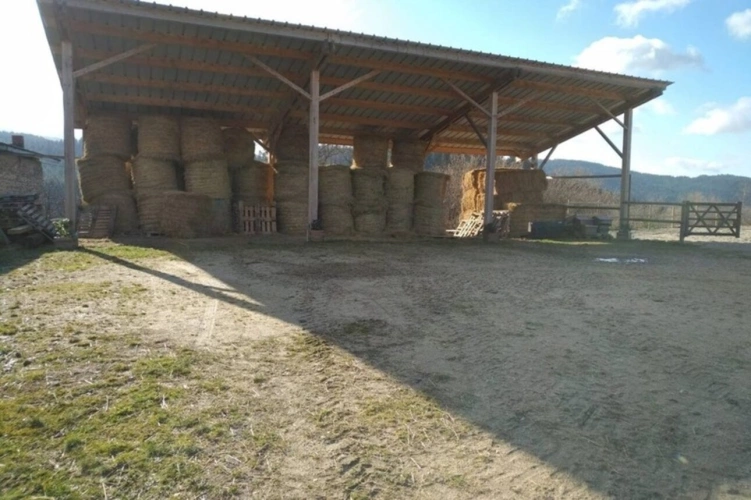 Photos 5 - Équestre - Propriete à vendre 5 pièces ARCONSAT (63)