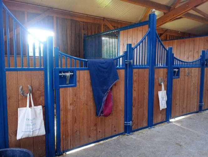 Photos 6 - Équestre - Propriete à vendre 5 pièces ARCONSAT (63)