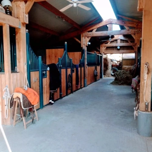 Photos 7 - Équestre - Propriete à vendre 5 pièces ARCONSAT (63)