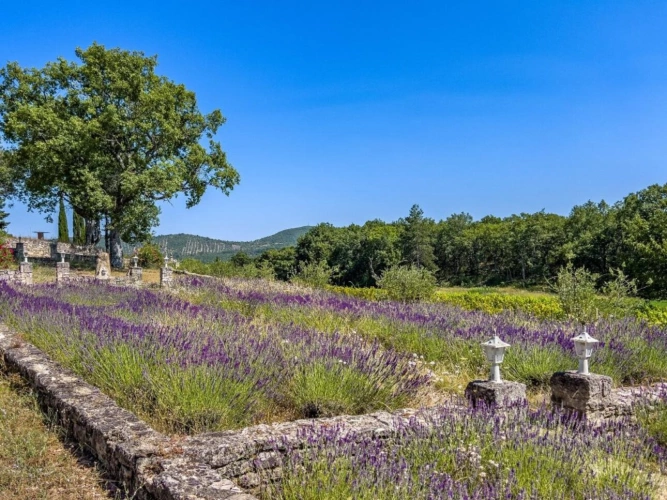 Photos 11 - Equestrian - Stunning Provençal estate located in the Luberon hills