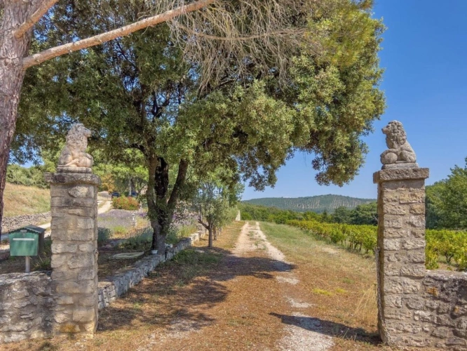 Photos 12 - Equestrian - Stunning Provençal estate located in the Luberon hills
