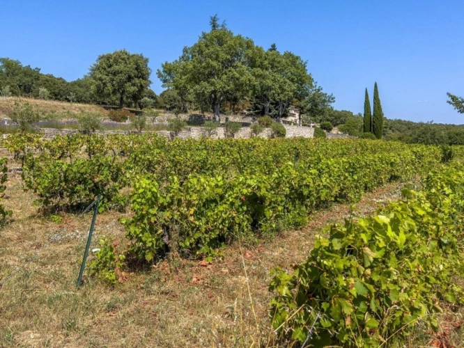 Photos 13 - Equestrian - Stunning Provençal estate located in the Luberon hills