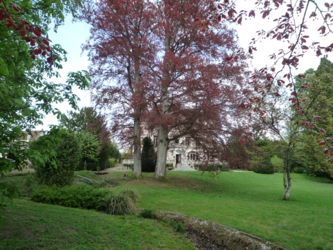 Photos 18 - Prestige - château-Thierry proche à vendre château fin XIX siècle avec salle de réception et dépendances sur un parc de plus de 20000 m2