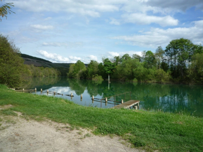 Photos 19 - Prestige - château-Thierry proche à vendre château fin XIX siècle avec salle de réception et dépendances sur un parc de plus de 20000 m2