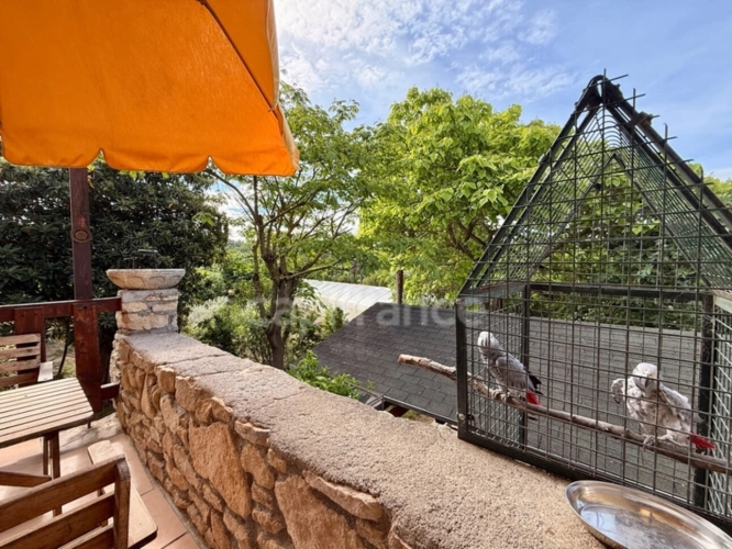 Photos 7 - Rurale - Propriete à vendre 10 pièces LIMOUX (11) 205,07m2 habitables sur 2,05 hectares de terrain