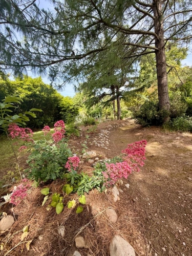 Photos 46 - Rurale - Propriete à vendre 10 pièces LIMOUX (11) 205,07m2 habitables sur 2,05 hectares de terrain
