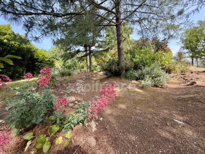 Photos 47 - Rurale - Propriete à vendre 10 pièces LIMOUX (11) 205,07m2 habitables sur 2,05 hectares de terrain