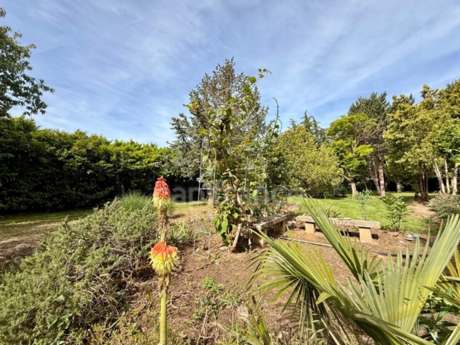 Photos 48 - Rurale - Propriete à vendre 10 pièces LIMOUX (11) 205,07m2 habitables sur 2,05 hectares de terrain