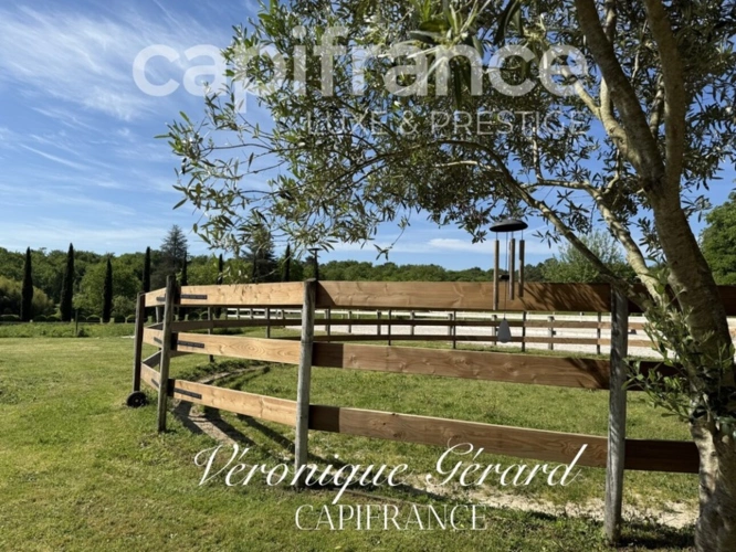 Photos 19 - Équestre - Propriété Equestre de 178 m² avec Longère et Installation Equestre à SALLEBOEUF