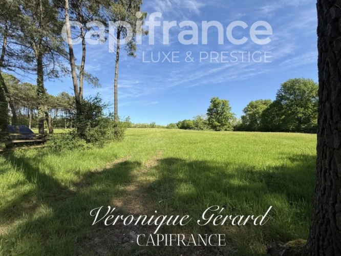 Photos 20 - Équestre - Propriété Equestre de 178 m² avec Longère et Installation Equestre à SALLEBOEUF