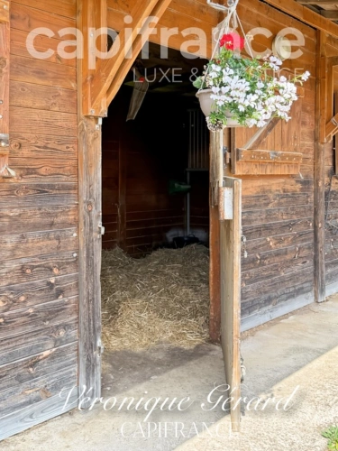 Photos 44 - Équestre - Propriété Equestre de 178 m² avec Longère et Installation Equestre à SALLEBOEUF