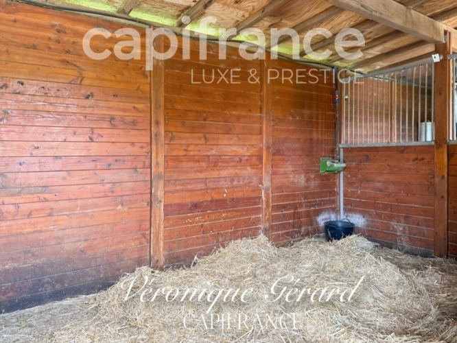 Photos 45 - Équestre - Propriété Equestre de 178 m² avec Longère et Installation Equestre à SALLEBOEUF