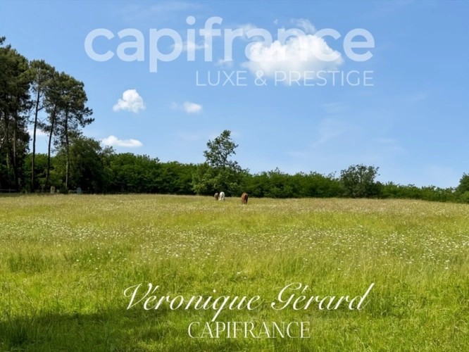 Photos 46 - Équestre - Propriété Equestre de 178 m² avec Longère et Installation Equestre à SALLEBOEUF