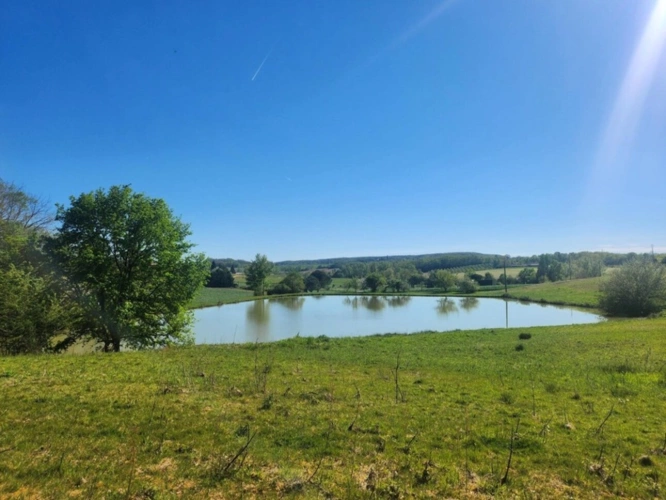 Photos 2 - Rurale - Terrain  avec étang de pêche en campagne -  3.54 ha- à vendre - VILLENEUVE SUR LOT (47)