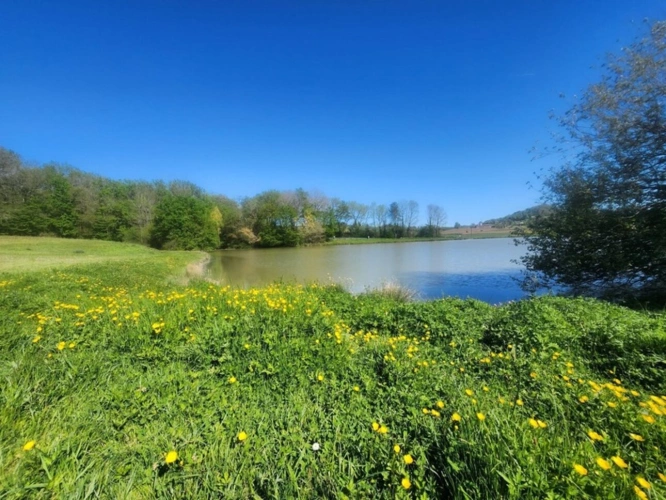 Photos 3 - Rurale - Terrain  avec étang de pêche en campagne -  3.54 ha- à vendre - VILLENEUVE SUR LOT (47)