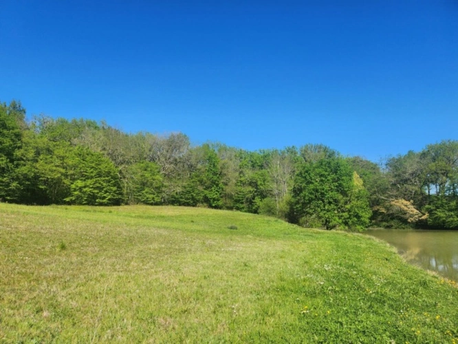 Photos 4 - Rurale - Terrain  avec étang de pêche en campagne -  3.54 ha- à vendre - VILLENEUVE SUR LOT (47)