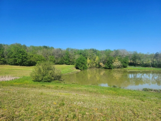 Photos 5 - Rurale - Terrain  avec étang de pêche en campagne -  3.54 ha- à vendre - VILLENEUVE SUR LOT (47)