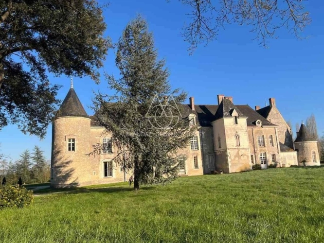 Photos 8 - Prestige - Rare, château du XV -ème- Un Havre de paix…