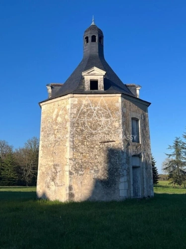 Photos 24 - Prestige - Rare, château du XV -ème- Un Havre de paix…