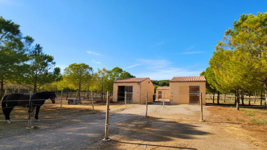 Photos 2 - Équestre - Propriété de 4,5 ha - Hérault (34)