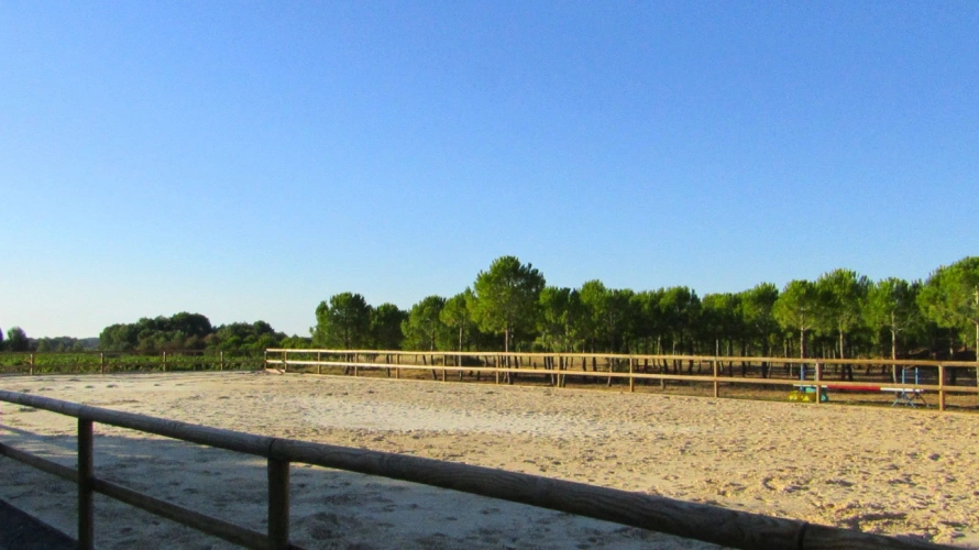 Photos 8 - Équestre - Propriété de 4,5 ha - Hérault (34)