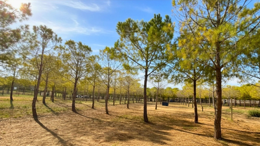 Photos 12 - Équestre - Propriété de 4,5 ha - Hérault (34)