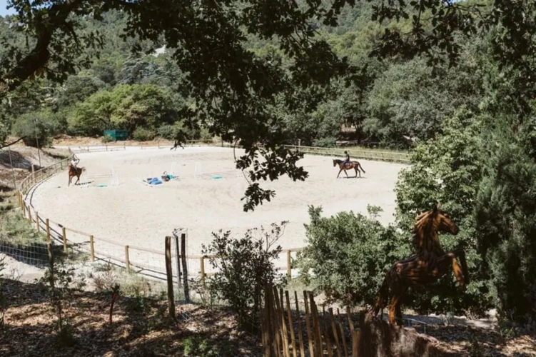 Photos 6 - Équestre - L'excellence équestre et art de vivre provençal