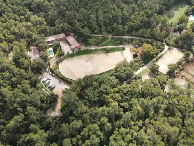 Photos 8 - Équestre - L'excellence équestre et art de vivre provençal
