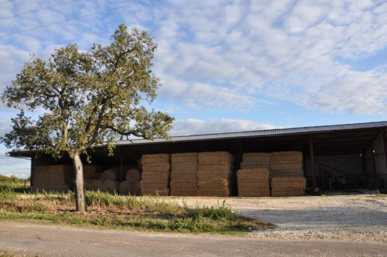 Photos 30 - Équestre - ? Propriété équestre de caractère - Domaine de plus de